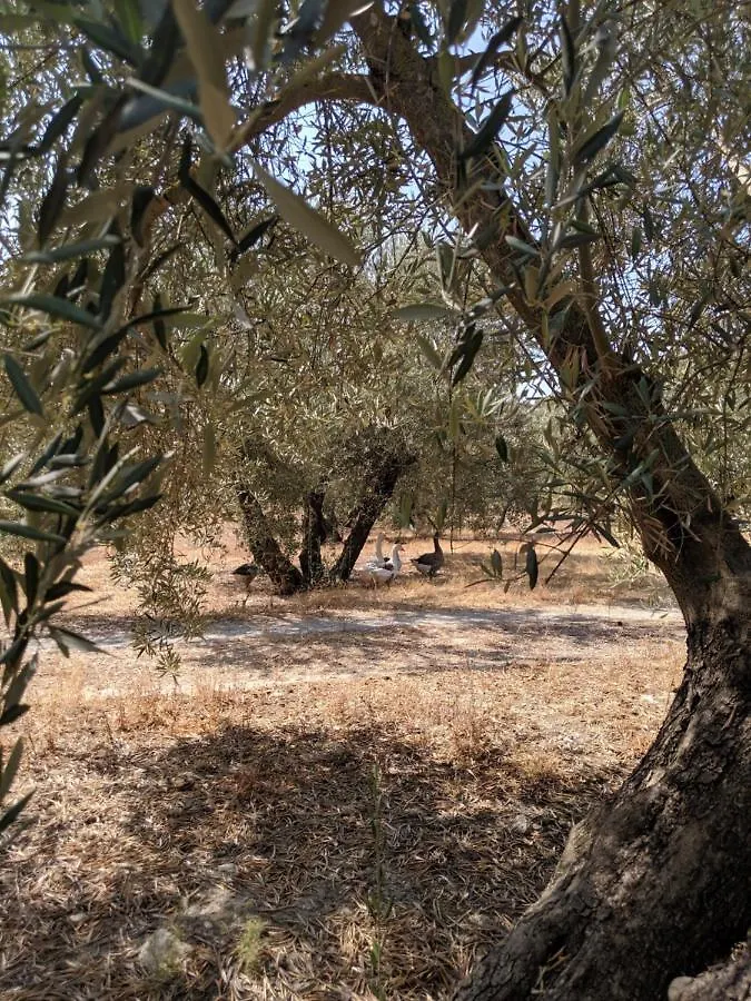 La Noguera De Baena Βίλα Σπίτι διακοπών
